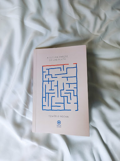 No momento, você está visualizando A última parede do labirinto. Trecho do novo livro de Tenório Rocha  ￼